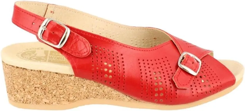 Women's 562